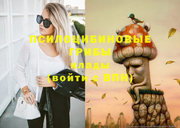 спиды Протвино