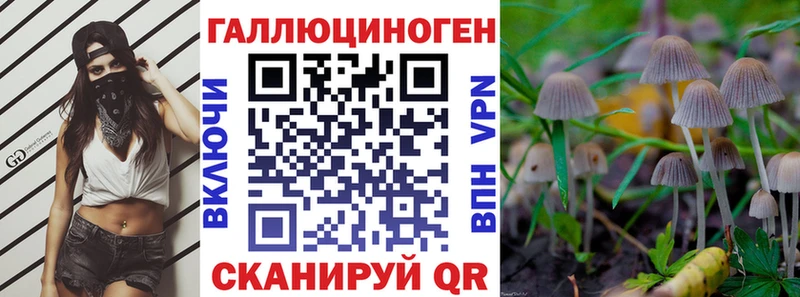 blacksprut зеркало  купить   Луза  Галлюциногенные грибы мицелий 